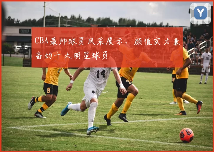 CBA最帅球员风采展示，颜值实力兼备的十大明星球员