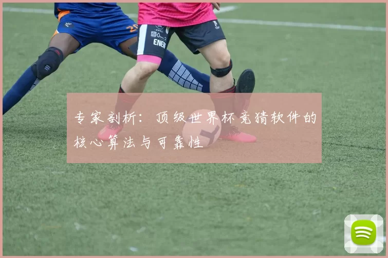 专家剖析：顶级世界杯竞猜软件的核心算法与可靠性