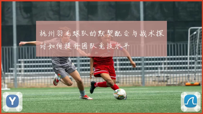 杭州羽毛球队的默契配合与战术探讨如何提升团队竞技水平