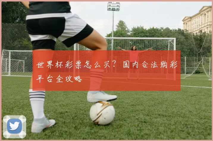 世界杯彩票怎么买？国内合法购彩平台全攻略