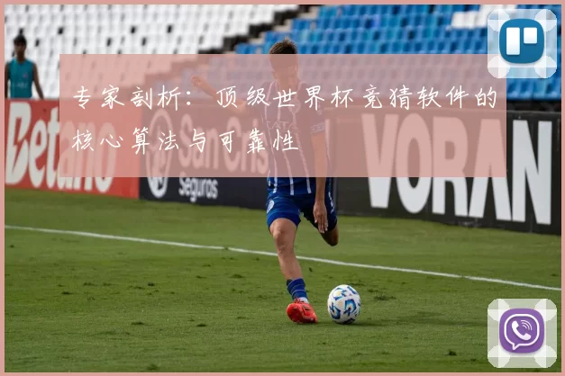 专家剖析:顶级世界杯竞猜软件的核心算法与可靠性