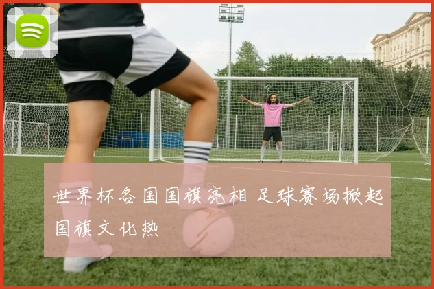世界杯各国国旗亮相 足球赛场掀起国旗文化热
