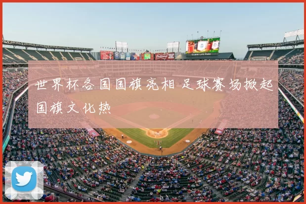 世界杯各国国旗亮相 足球赛场掀起国旗文化热