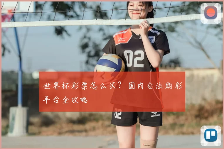 世界杯彩票怎么买?国内合法购彩平台全攻略