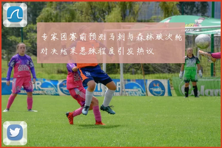专家团赛前预测马刺与森林狼次轮对决结果悬殊程度引发热议