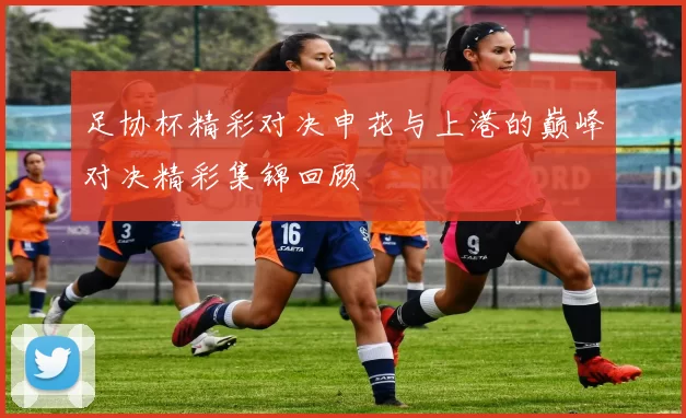 足协杯精彩对决申花与上港的巅峰对决精彩集锦回顾
