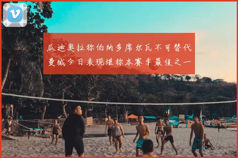 瓜迪奥拉称伯纳多席尔瓦不可替代曼城今日表现堪称本赛季最佳之一