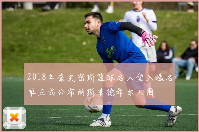 2018年奈史密斯篮球名人堂入选名单正式公布纳斯基德希尔入围