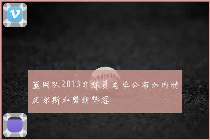 篮网队2013年球员名单公布加内特皮尔斯加盟新阵容