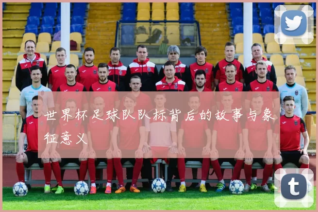 世界杯足球队队标背后的故事与象征意义