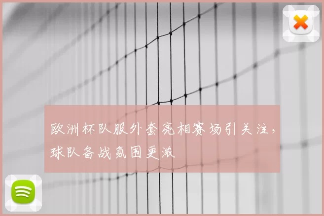 欧洲杯队服外套亮相赛场引关注，球队备战氛围更浓