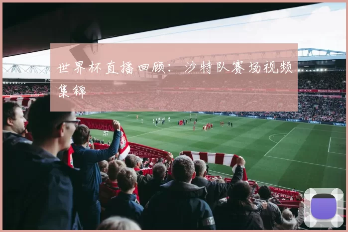 世界杯直播回顾：沙特队赛场视频集锦